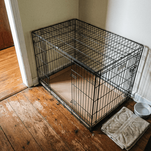 Dries Clean & Residue-Free