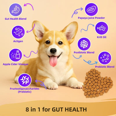 HAPWAG 8 - in - 1 Multivitamin Soft Chews for Dogs - PAWFY