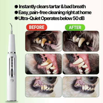 Ultradental Cleaning Kit - PAWFY