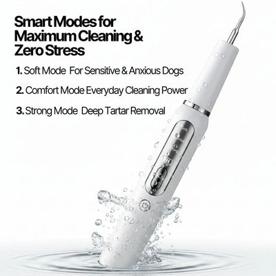 Ultradental Cleaning Kit - PAWFY