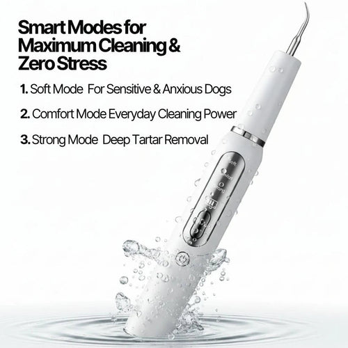 Ultradental Cleaning Kit