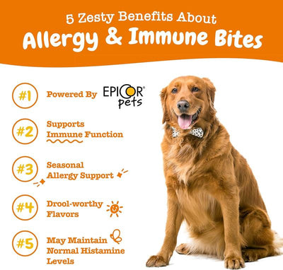 Zesty Paws Allergy & Immune Bites - PAWFY